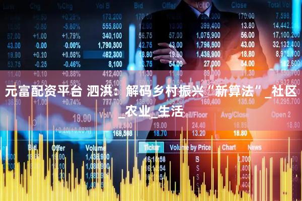 元富配资平台 泗洪：解码乡村振兴“新算法”_社区_农业_生活