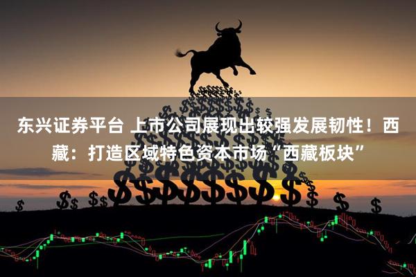 东兴证券平台 上市公司展现出较强发展韧性！西藏：打造区域特色资本市场“西藏板块”