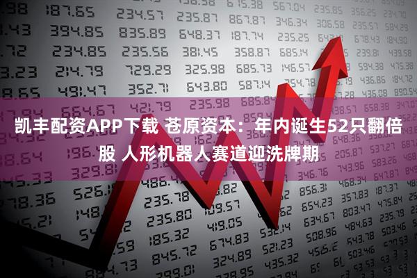 凯丰配资APP下载 苍原资本：年内诞生52只翻倍股 人形机器人赛道迎洗牌期