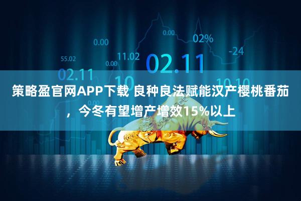 策略盈官网APP下载 良种良法赋能汉产樱桃番茄，今冬有望增产增效15%以上