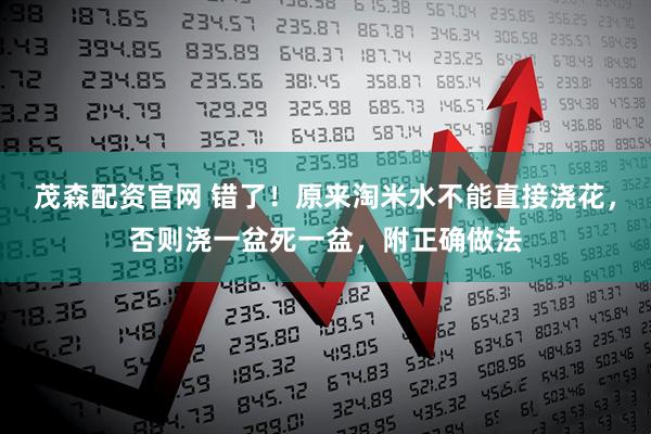 茂森配资官网 错了！原来淘米水不能直接浇花，否则浇一盆死一盆，附正确做法