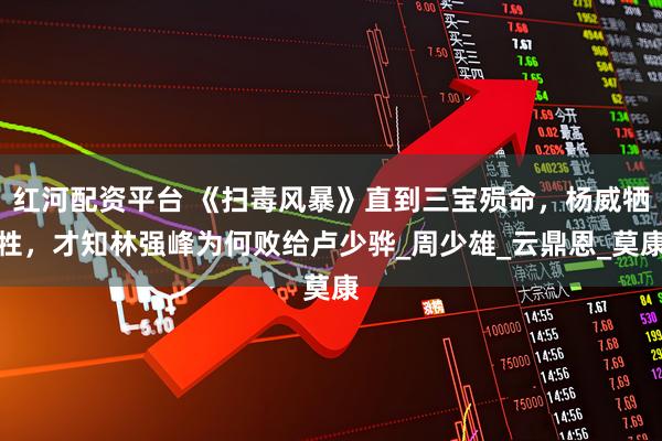 红河配资平台 《扫毒风暴》直到三宝殒命，杨威牺牲，才知林强峰为何败给卢少骅_周少雄_云鼎恩_莫康