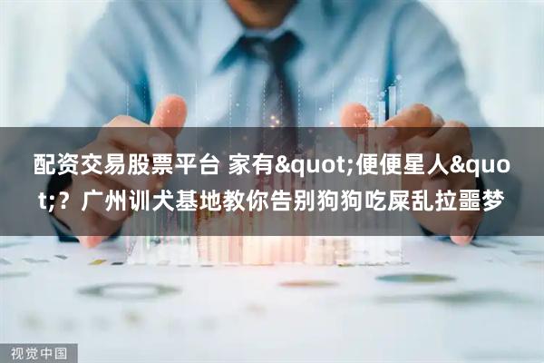 配资交易股票平台 家有"便便星人"？广州训犬基地教你告别狗狗吃屎乱拉噩梦